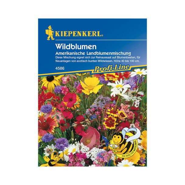 Wildblumen 'Amerikanische Landblumenmischung'