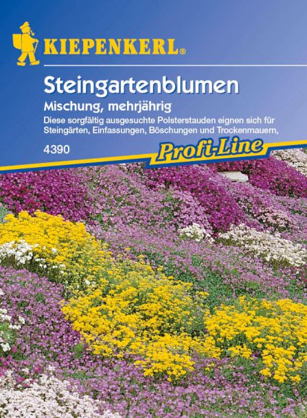 'Steingartenblumen' Mischung, mehrjährig