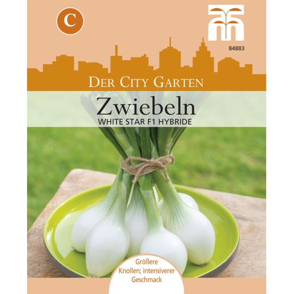 Zwiebel White Star