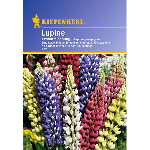 'Lupinen' Prachtmischung