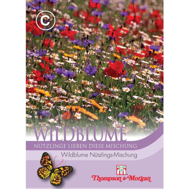 Wildblume Nützlings-Mischung