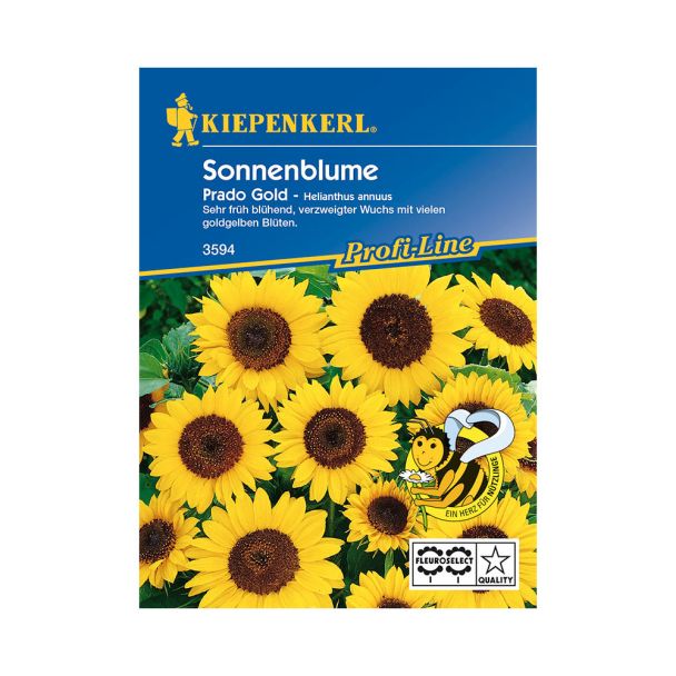 Sonnenblume 'Prado Gold'