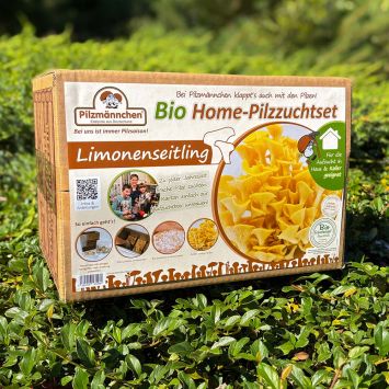 BIO Limonenseitling Fertigkultur