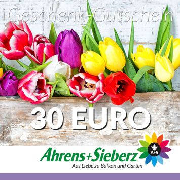 Geschenk-Gutschein, Wert 30 Euro Tulpen