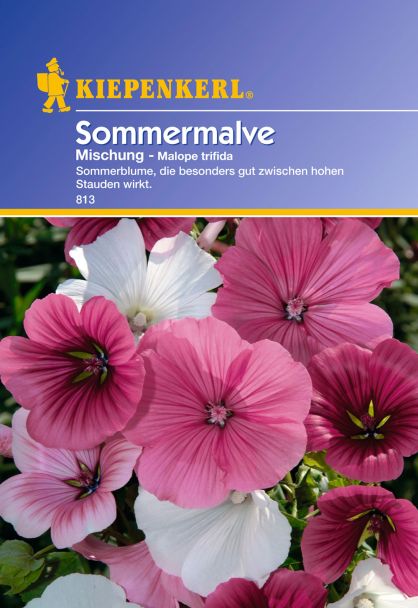 Sommermalve 'Mischung'