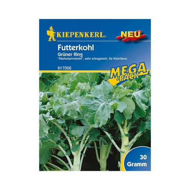 Futterkohl 'Grüner Ring' - 'Markstammkohl' 30 G