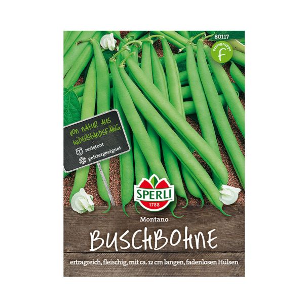 Buschbohne 'Montano'