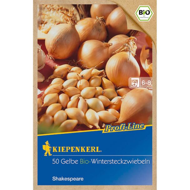 Wintersteckzwiebel Shakespeare