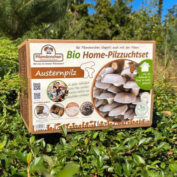 BIO Austernpilz Home-Pilzzuchtset