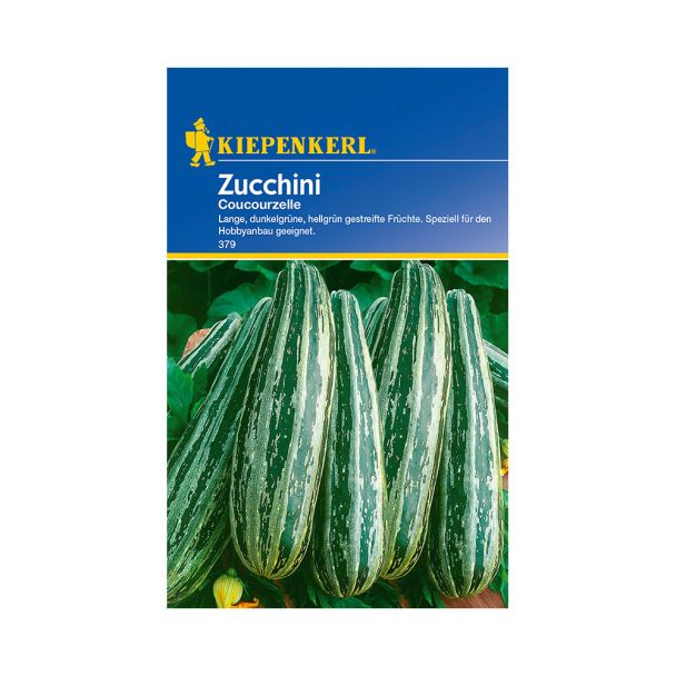 Zucchini 'Coucourzelle'