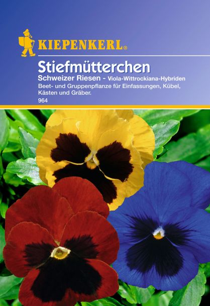 Stiefmütterchen 'Schweizer Riesen'