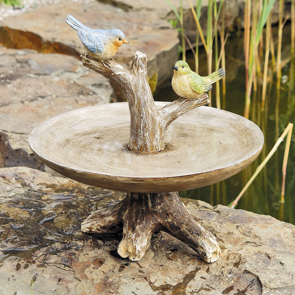 Vogeltränke Birdie kaufen Ahrens+Sieberz Pflanzenversand & Gartenbedarf