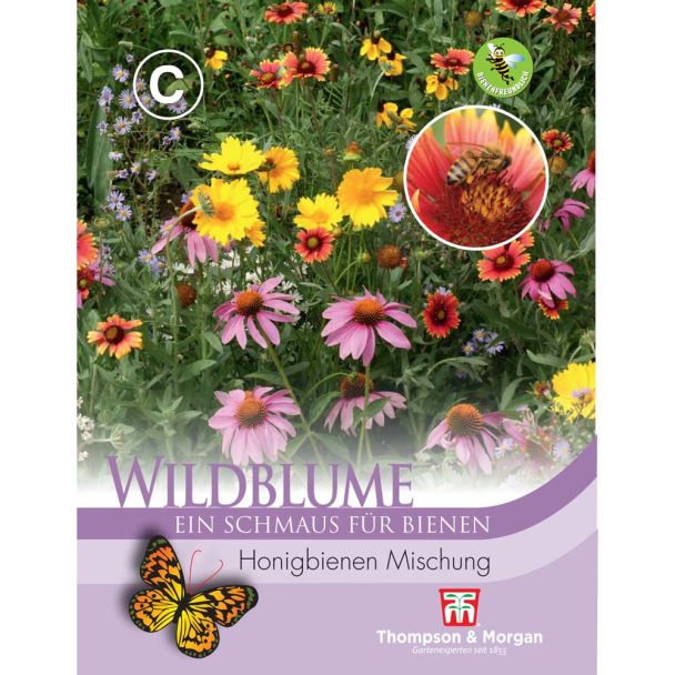 Wildblume Honigbienen Mischung