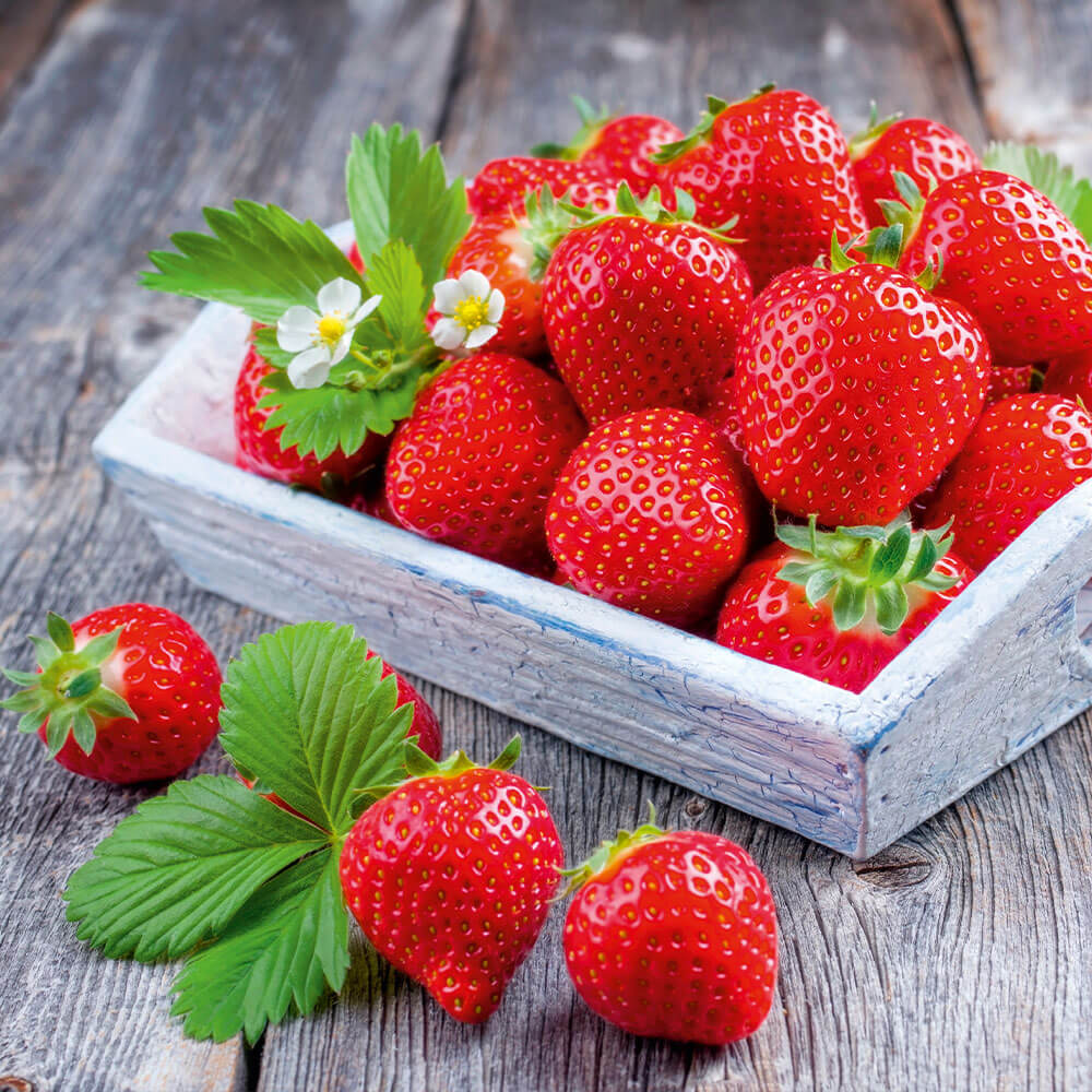 Deko-Erdbeeren online kaufen