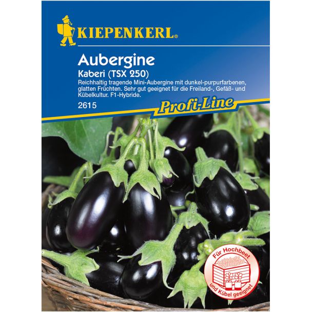 Aubergine 'Kaberi' F1