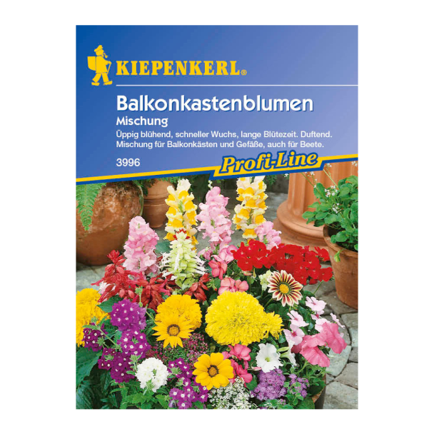 Balkonkastenblumen 'Mischung'