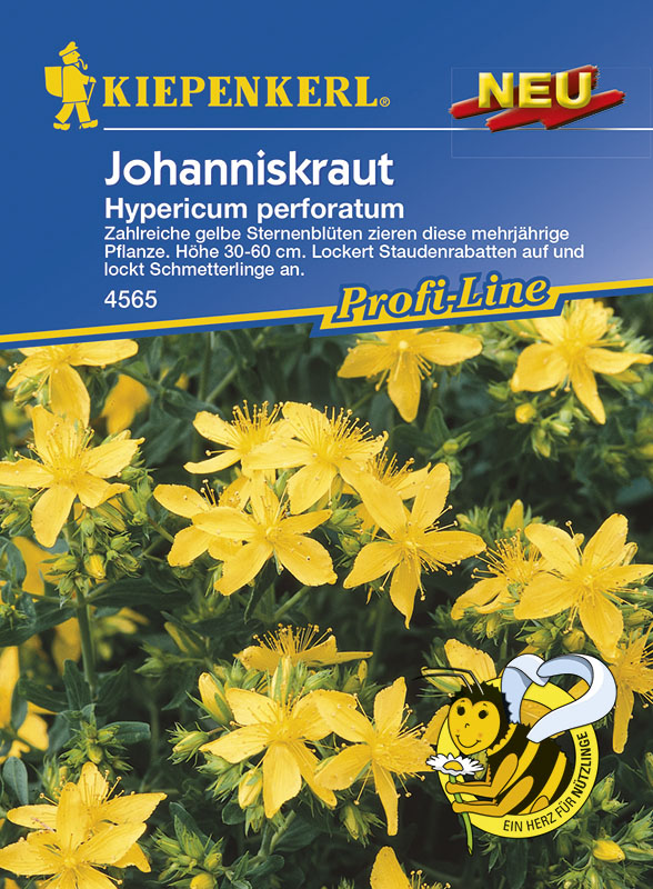 Johanniskraut Mehrjahrige Blumen Blumensamen Balkon