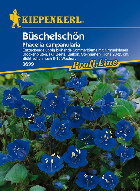 'Büschelschön'