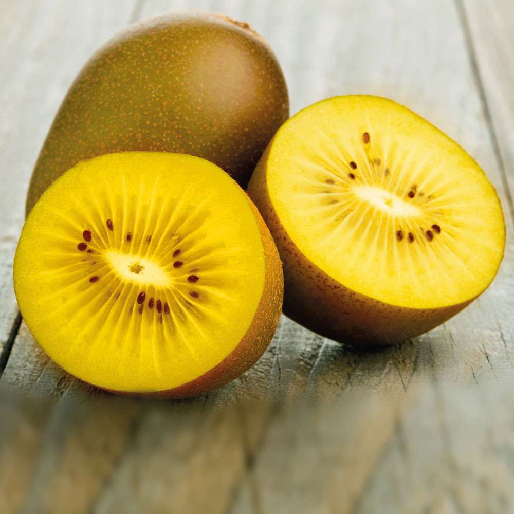 Gelbe Kiwi 'Exotic Sun' Kiwis Obst Ahrens+Sieberz