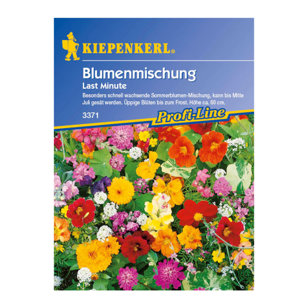 Blumenmischung 'Last Minute'