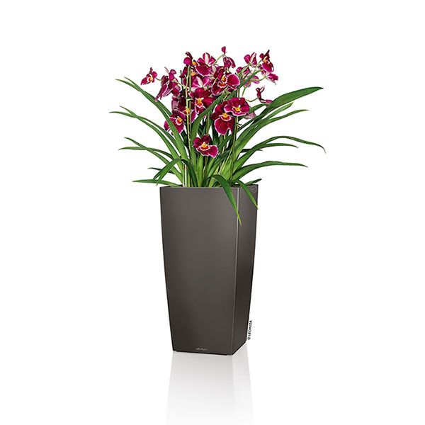 LECHUZA® CUBICO 30 (18184) All-in-One Set, anthrazit metallic