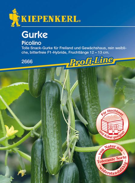 Mini-Snack-Gurke 'Picolino' F1