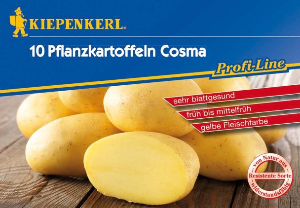 Pflanzkartoffeln Cosma, 10 Knollen