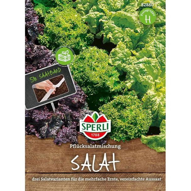 Saatband / Pflücksalat - Sortiment: 'Teide, Grand Rapids, Lollo Bionda'