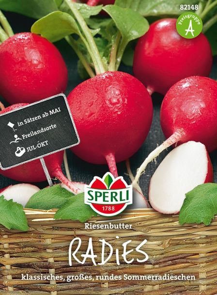 Radieschen 'Riesenbutter'