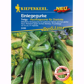 Kiepenkerl Einlegegurke Twigy F1