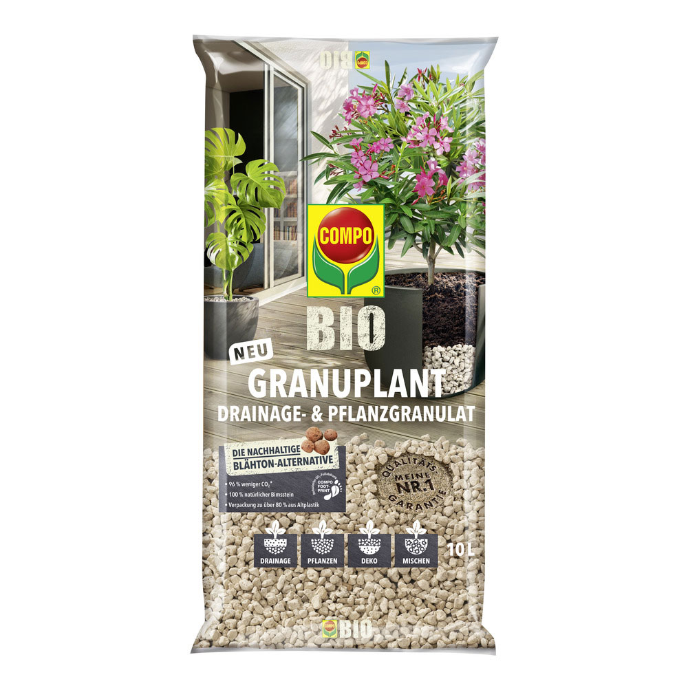 ceropegia woodii variegata pflege CEROPEGIA WOODII VARIEGATA online kaufen bei potflourri