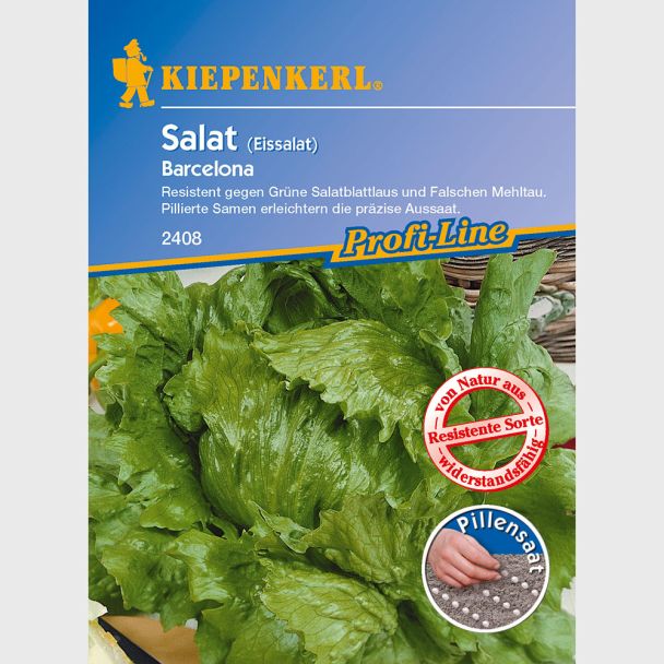 Eissalat 'Barcelona'