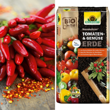 Hot Chili Red + Erde (Sparangebot)
