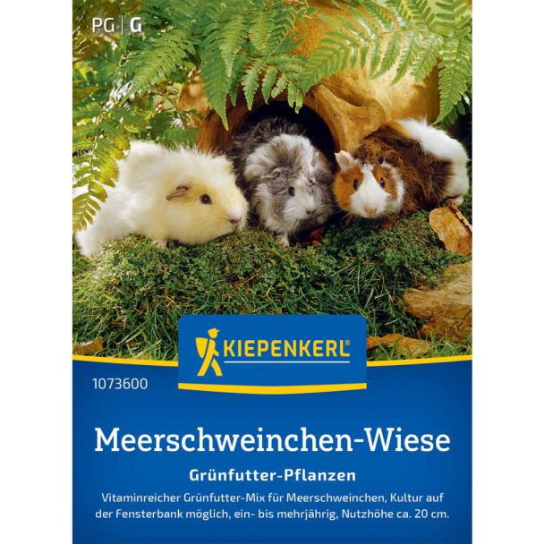 Meerschweinchen-Wiese Grünfutter-Pflanzen