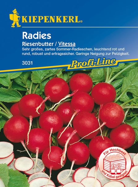 Radieschen 'Riesenbutter / Vitessa'