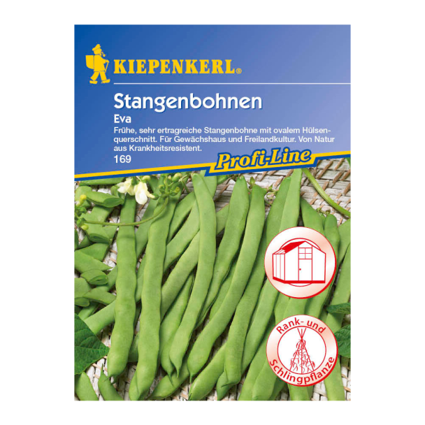 Stangenbohnen 'Eva'