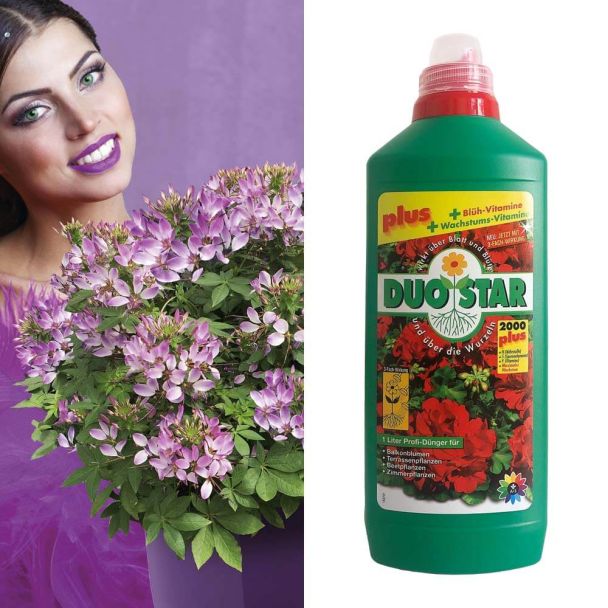 3 x 'Rosalita®' + 1 x 0,5 l DuoStar Sprint im Sparpaket