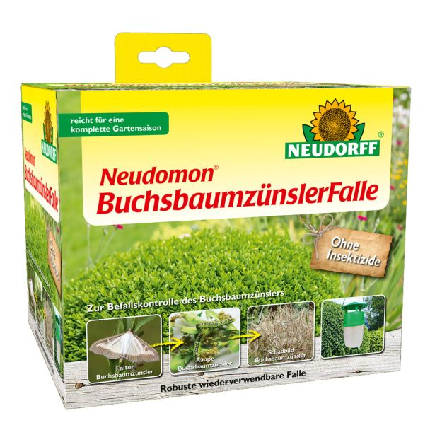 Neudomon BuchsbaumzünslerFalle