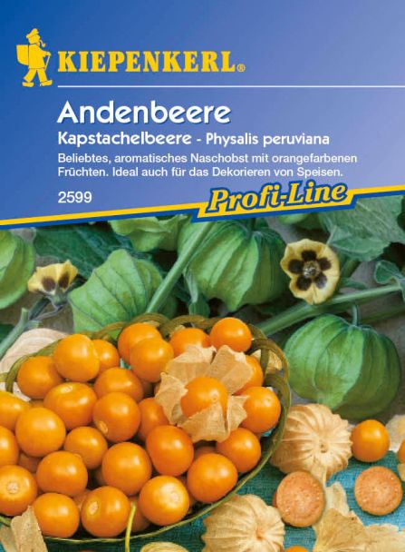 Andenbeere 'Kapstachelbeere'