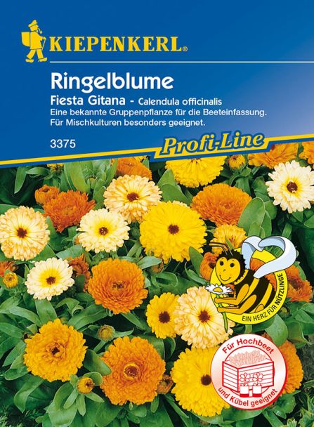 Ringelblume 'Fiesta Gitana'