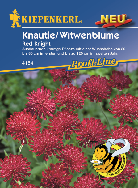 Knautie/Witwenblume Red Knight