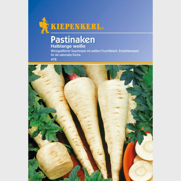 Pastinaken 'Halblange weiße'