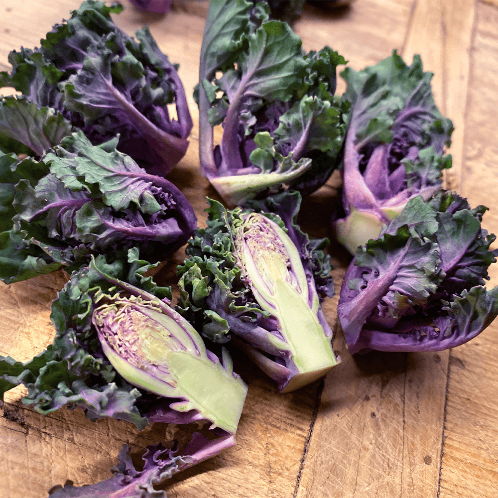 'Flower Sprout®' bunte PflückRöschen weiteres Gemüse Sortiment