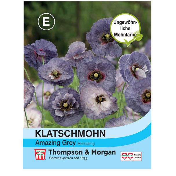 Klatschmohn Amazing Grey