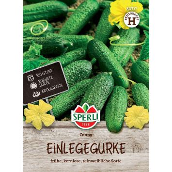 Einlegegurke 'Conny F1'