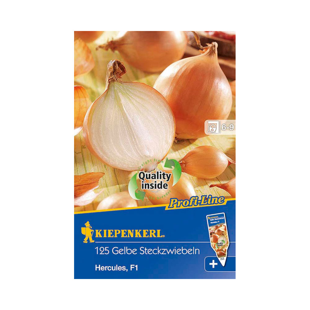 dunkelrot Kiepenkerl Steckzwiebel Rote Piroska 250 gr Packung
