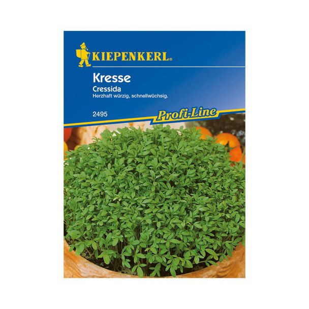 Kresse 'Cressida'