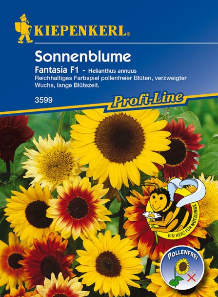 Sonnenblume 'Fantasia' F1