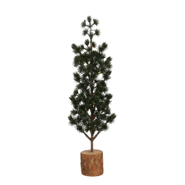 Grüner Miniatur-Zierbaum