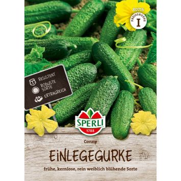 Einlegegurke 'Conny F1'